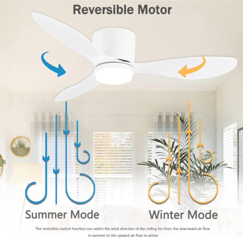 Reversible Motor

Summer Mode
Winter Mode

The reversible control function can switch the wind direction of the ceiling fan from the downward air flow in summer to the upward air flow in winter.