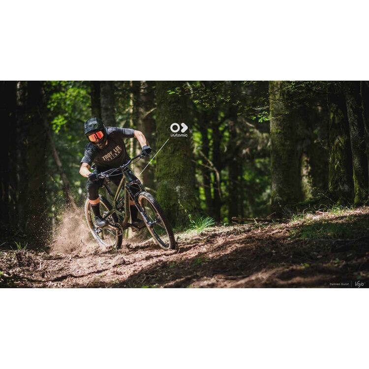 intamio LEE TROY TION Damien Guriot Vgo