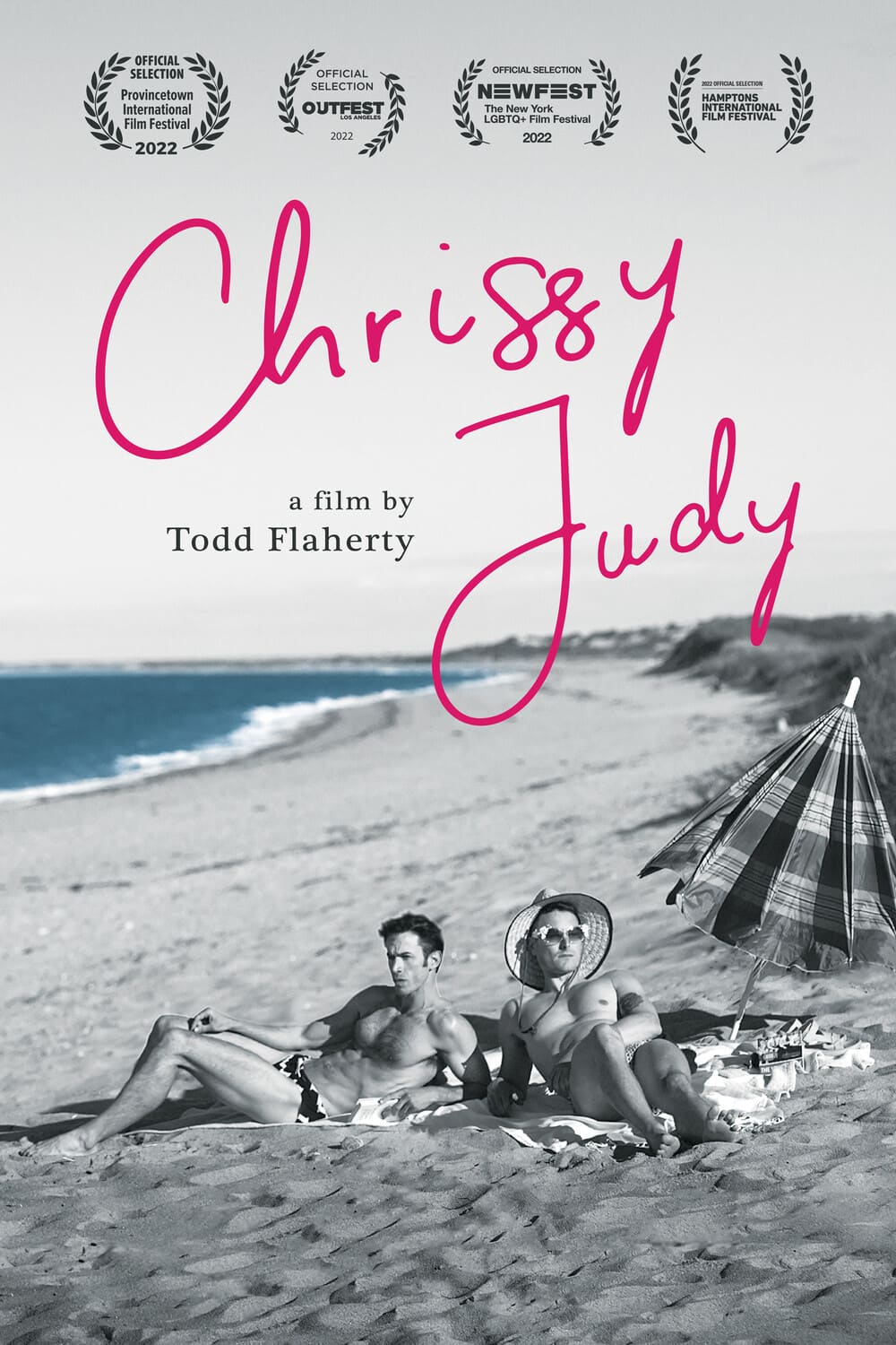 Chrissy Judy   - DVD price history on PriceWatchPro