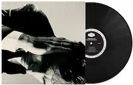 Andrew Bird - Inside Problems - VINYL LP