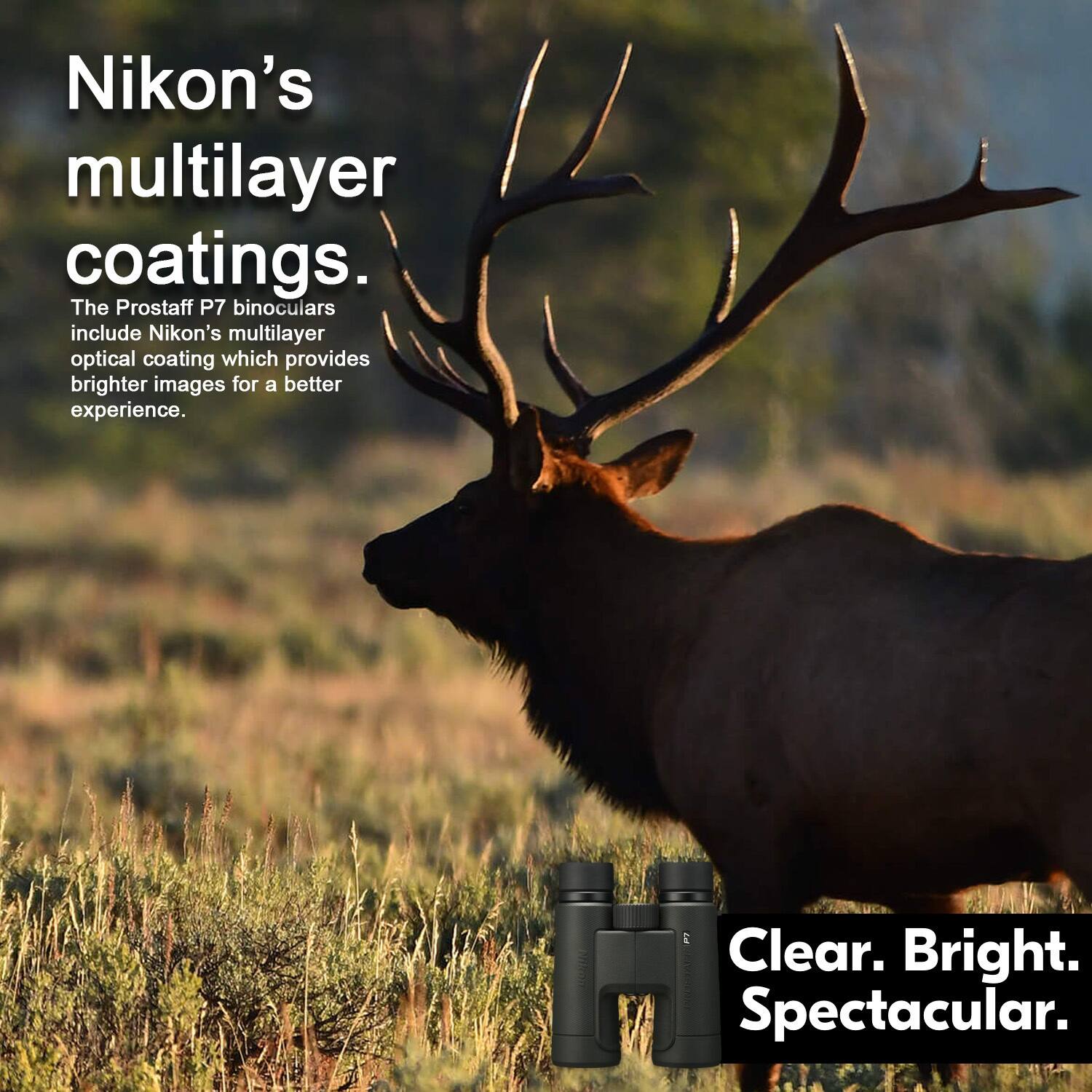Nikon’s multilayer coatings.  
The Prostaff P7 binoculars include Nikon’s multilayer optical coating which provides brighter images for a better experience.  

Clear. Bright. Spectacular.
