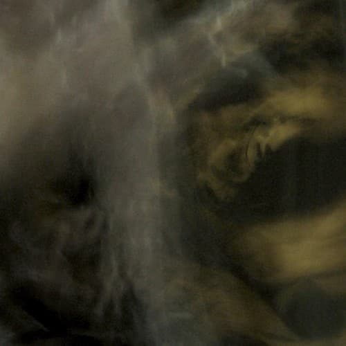 Rhea Tucanae - Fungi from   - COMPACT DISCS [CD] price history on PriceWatchPro