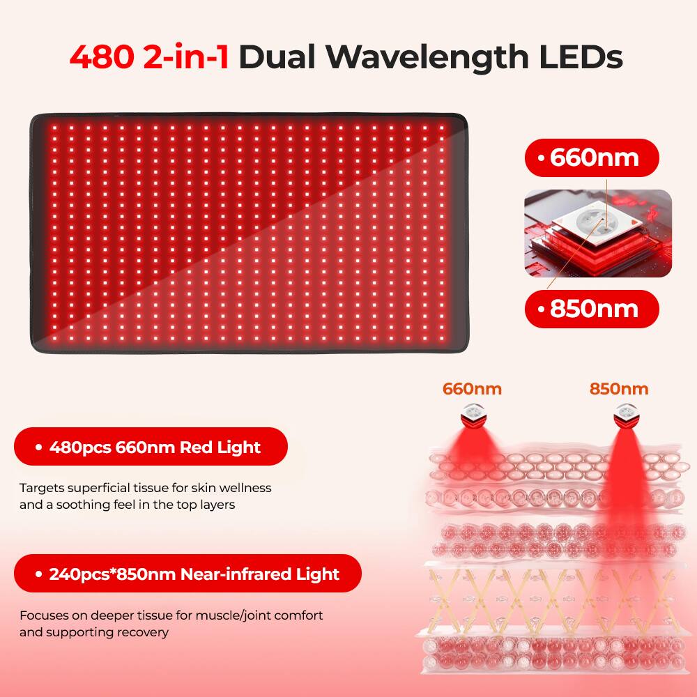 480 2-in-1 Dual Wavelength LEDs

660nm
850nm

480pcs 660nm Red Light
Targets superficial tissue for skin wellness and a soothing feel in the top layers

240pcs*850nm Near-infrared Light
Focuses on deeper tissue for muscle/joint comfort and supporting recovery