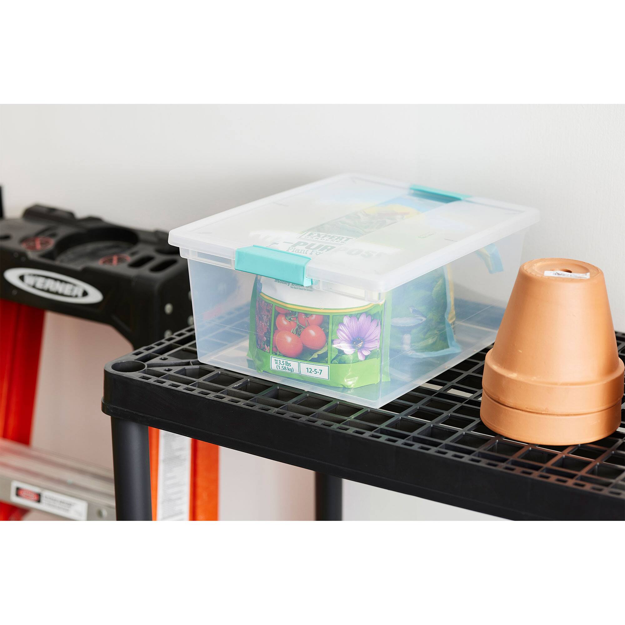 E PUR Jantty - 34N 12-5-7

12 Seeds
11.2g
12