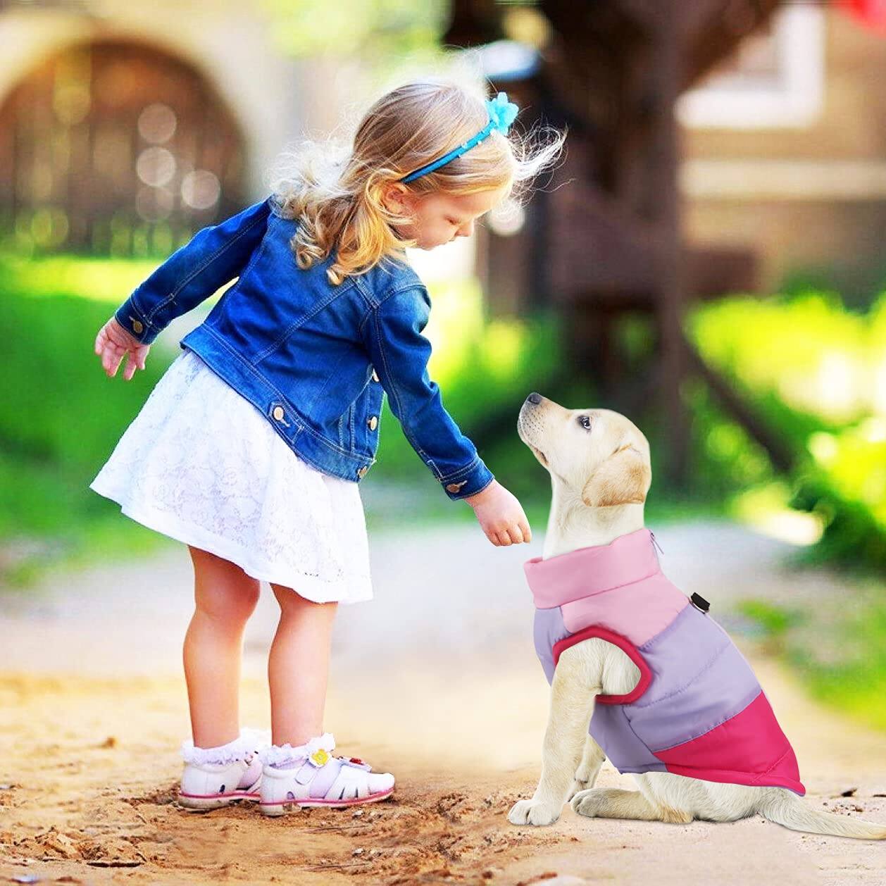 Alt View 6. Paradigms Interiors - Pet Dog Cat Coat With Leash Anchor Color Patchwork Padded Puppy Vest Jacket Teddy Chihuahua Costumes Pug - Yellow-XL(Chest-19.5",Neck-13").