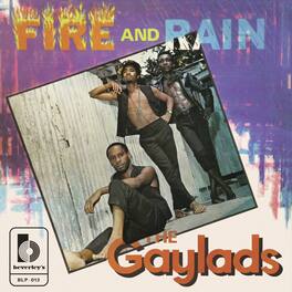 Gayladds - Fire And Rain - VINYL LP