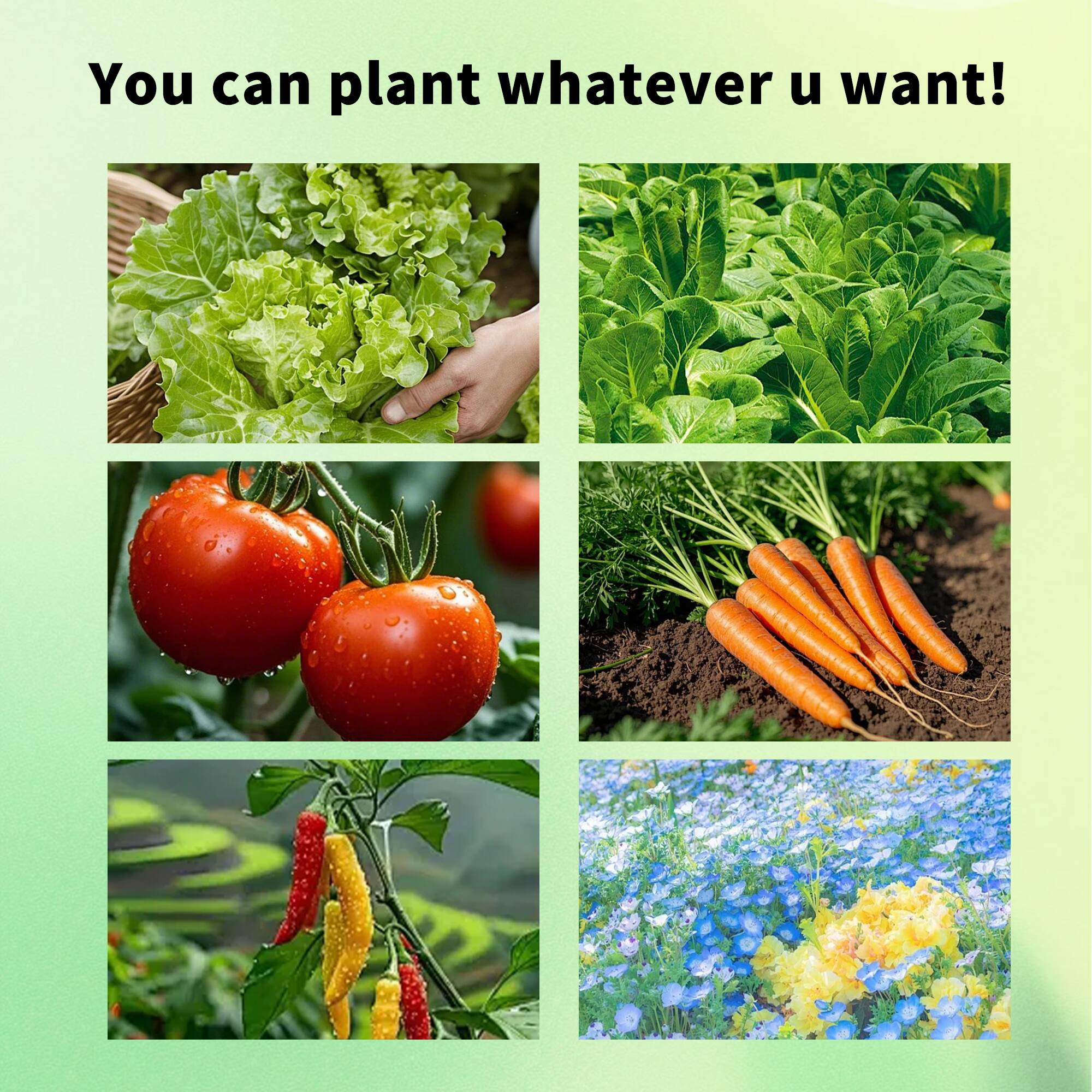You can plant whatever u want!