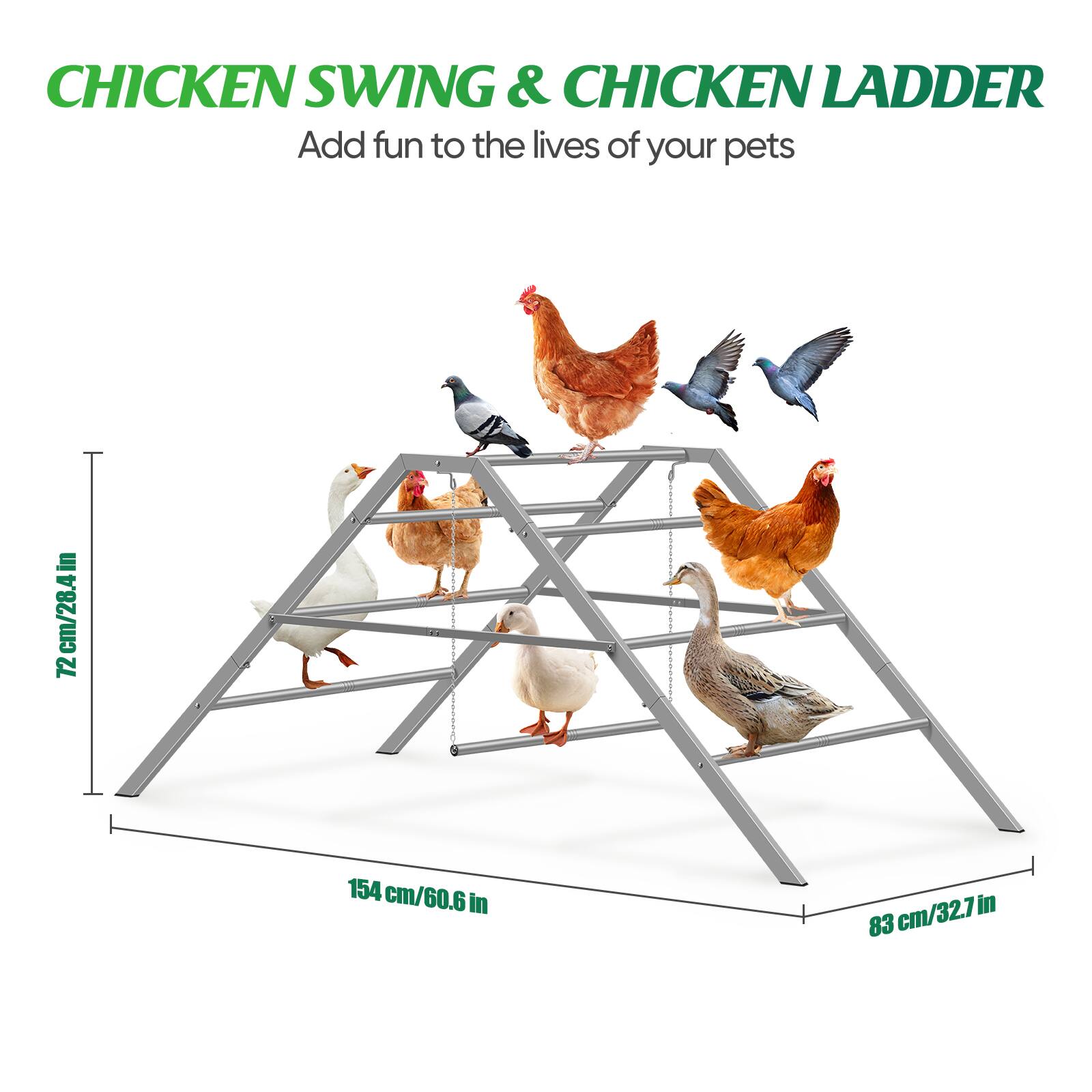 CHICKEN SWING & CHICKEN LADDER  
Add fun to the lives of your pets  

72 cm/28.4 in  
154 cm/60.6 in  
83 cm/32.7 in