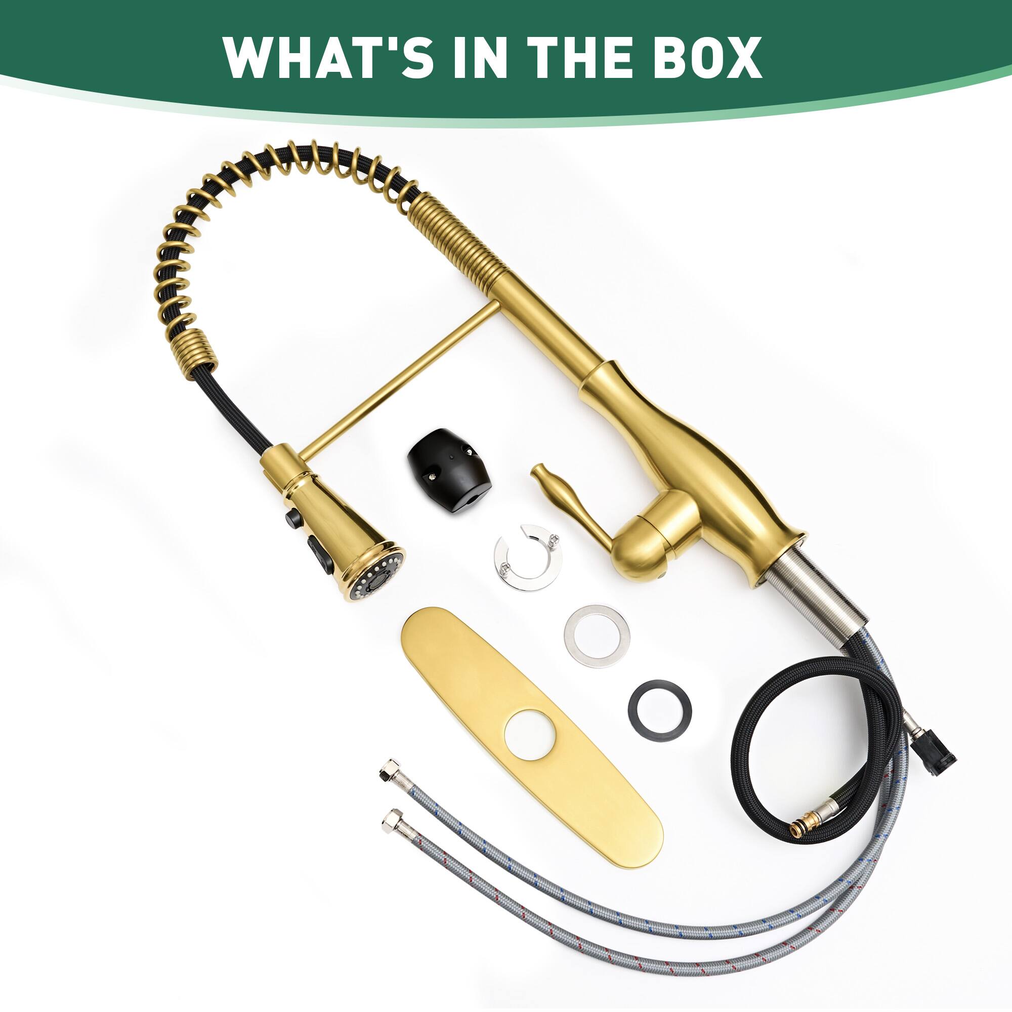 WHAT'S IN THE BOX