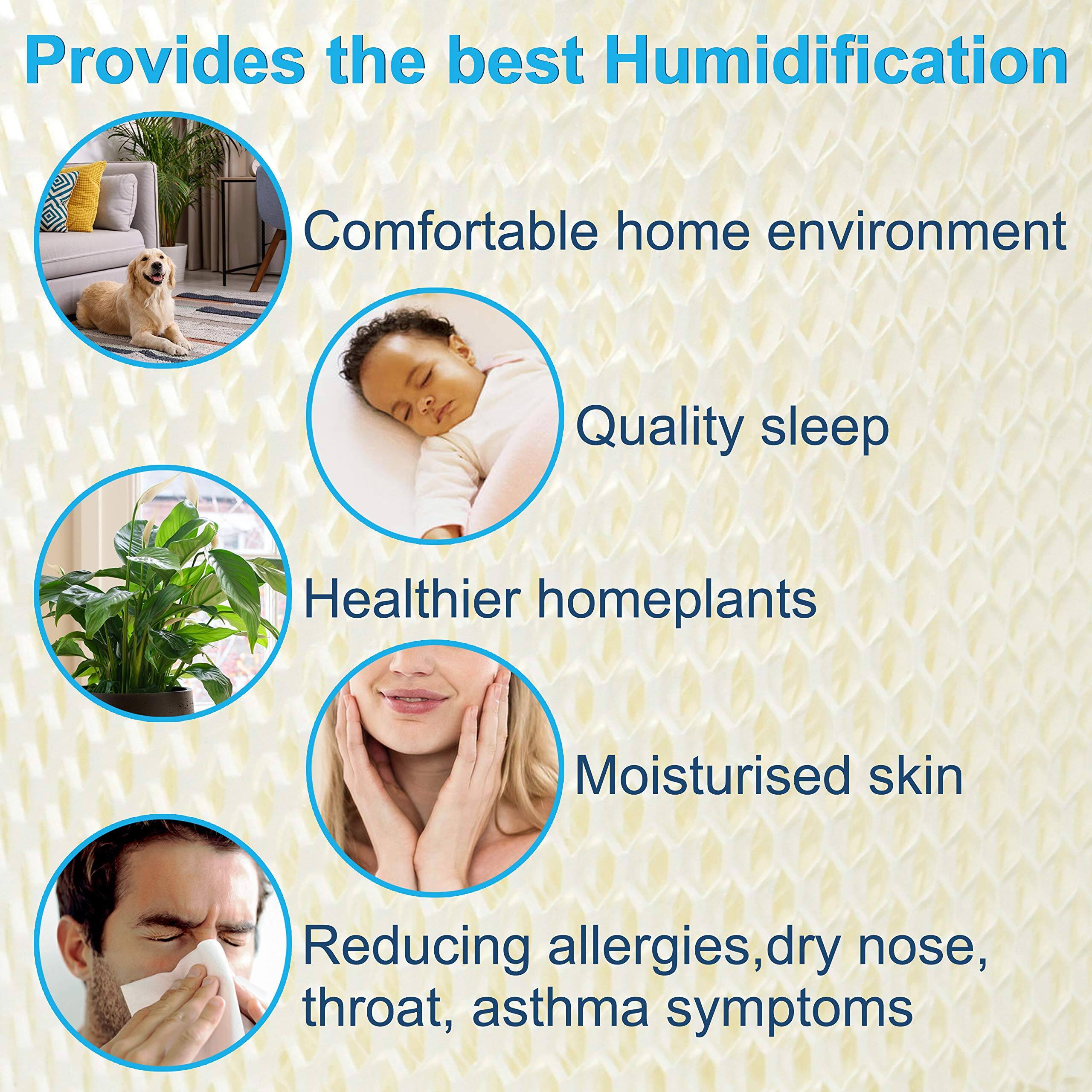 Provides the best Humidification

- Comfortable home environment
- Quality sleep
- Healthier homeplants
- Moisturised skin
- Reducing allergies, dry nose, throat, asthma symptoms