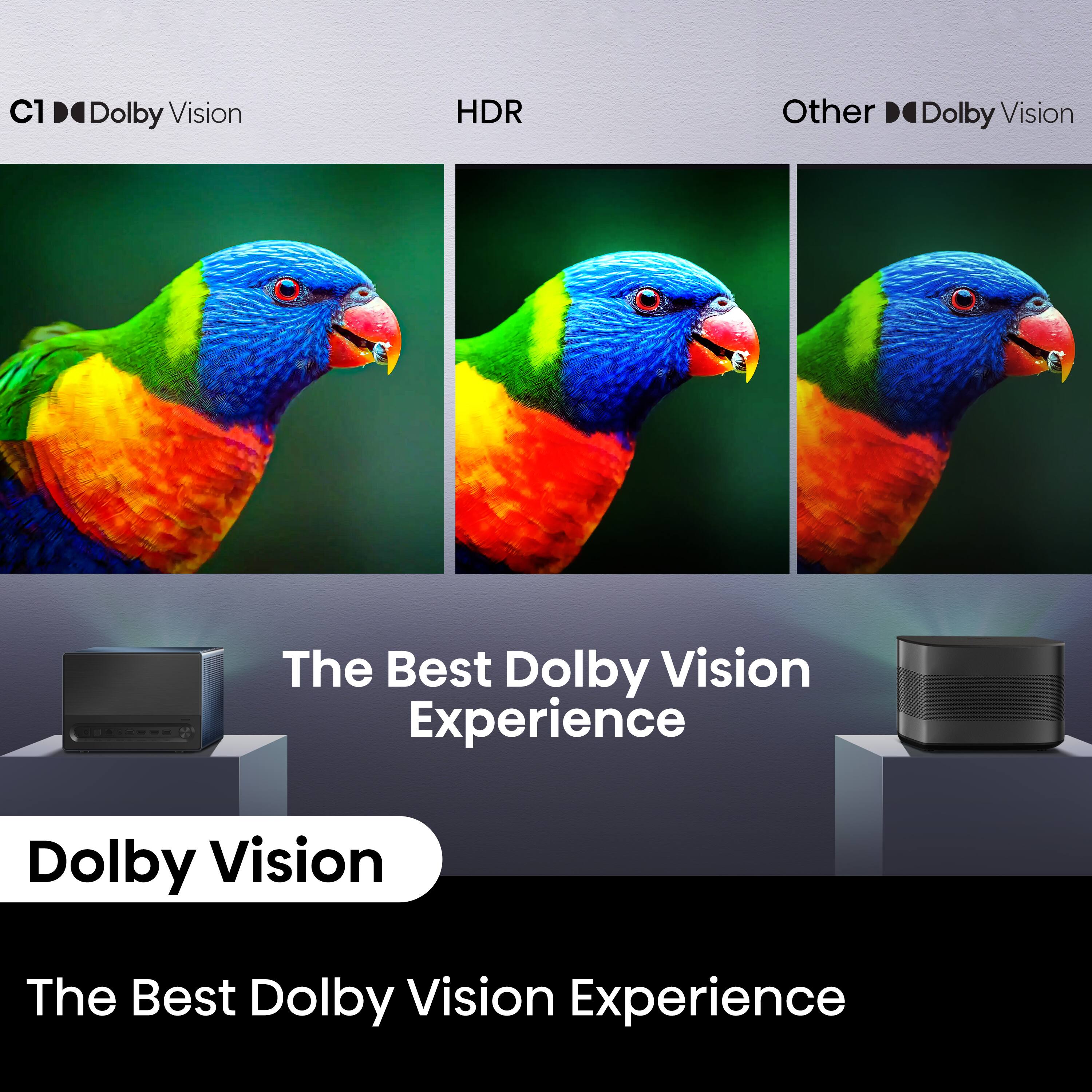 The text on the image reads: "C1 Dolby Vision HDR Other Dolby Vision The Best Dolby Vision Experience."