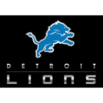 DETROIT LIONS