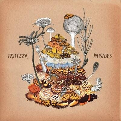 Paisajes [LP] [VINYL] price history on PriceWatchPro