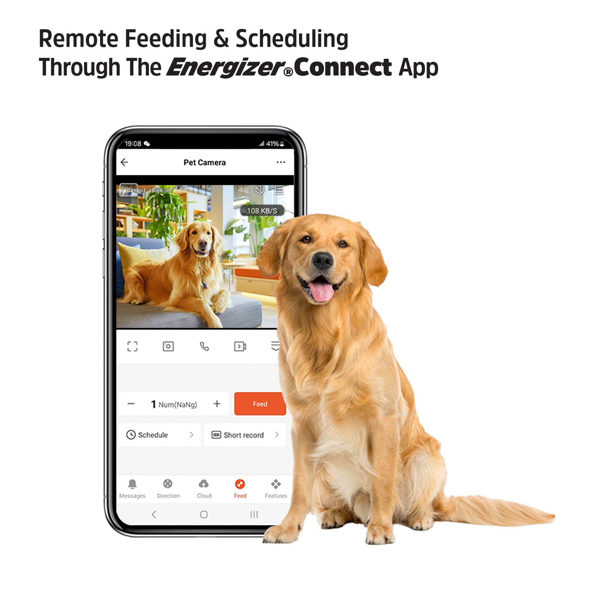 Remote Feeding & Scheduling Through The Energizer® Connect App

Pet Camera - 108 KB/S

1 Num(NaNg) + Feed Schedule

Short record Messages Direction Cloud Feed Features