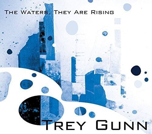 Trey Gunn - Waters They Are Rising   - COMPACT DISCS [CD] price history on PriceWatchPro