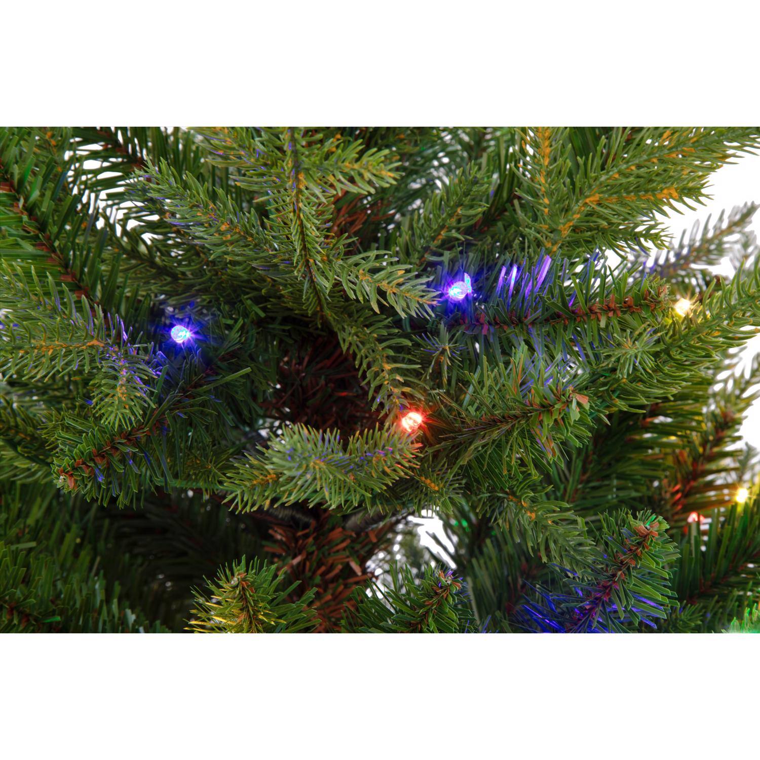 Left. Celebrations - Celebrations 3 ft. Full LED 50 ct Fraser Fir Potted Color Changing Porch Bush - Green.