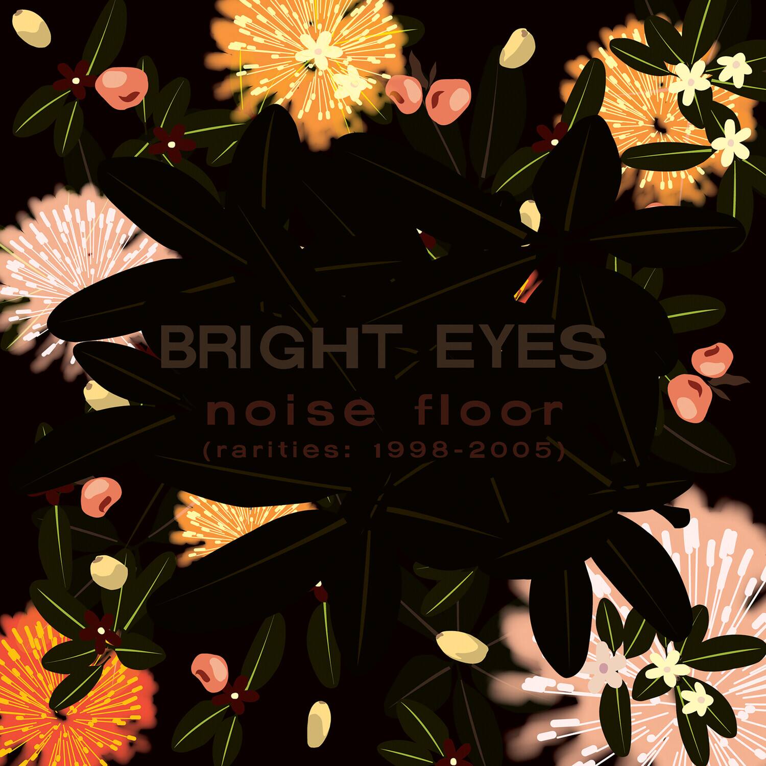 BRIGHT EYES  
noise floor  
(rarities: 1998-2005)