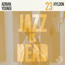 Adrian Younge - Hyldon Jid023 - VINYL LP