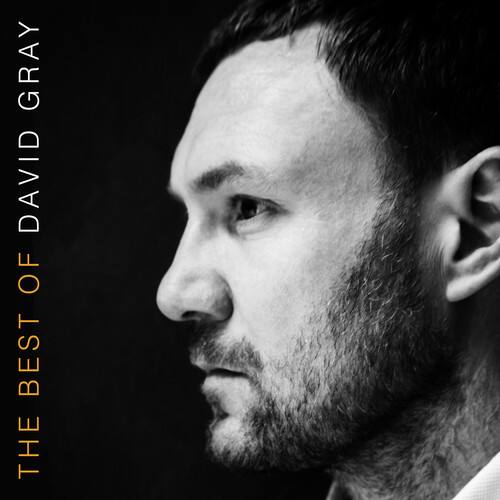 David Gray - The Best Of David Gray   - VINYL LP