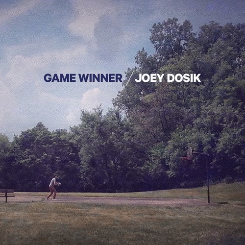 Joey Dosik - Game Winner  - VINYL LP