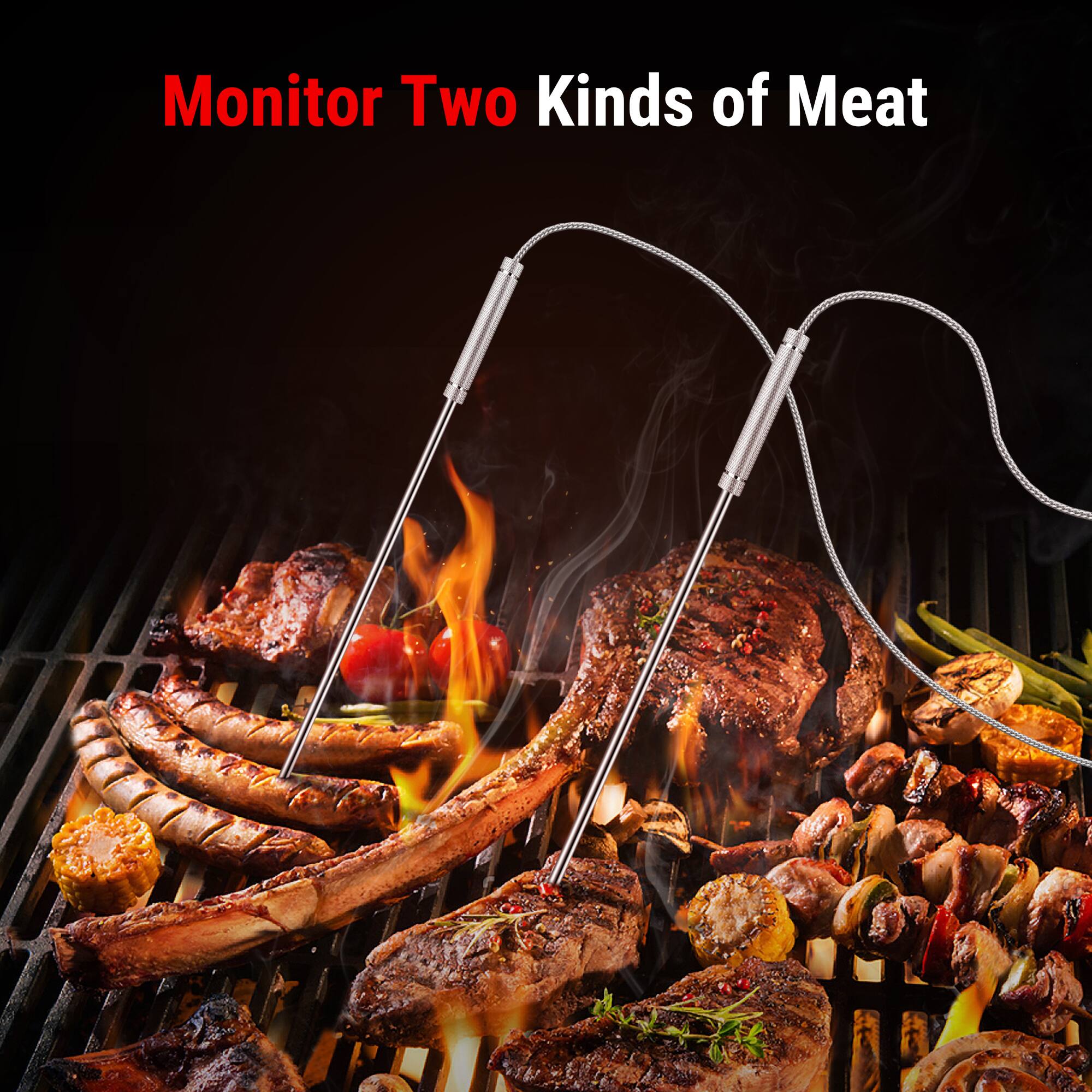 Monitor Two Kinds of Meat