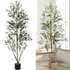 Front. NOVAROOT - 6FT Artificial Olive Trees Indoor Tall Faux Olive Tree with Lights Moss and Planter for Home Decor - Green.