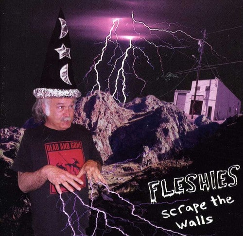 Fleshies - Scrape the Walls   - COMPACT DISCS [CD] price history on PriceWatchPro