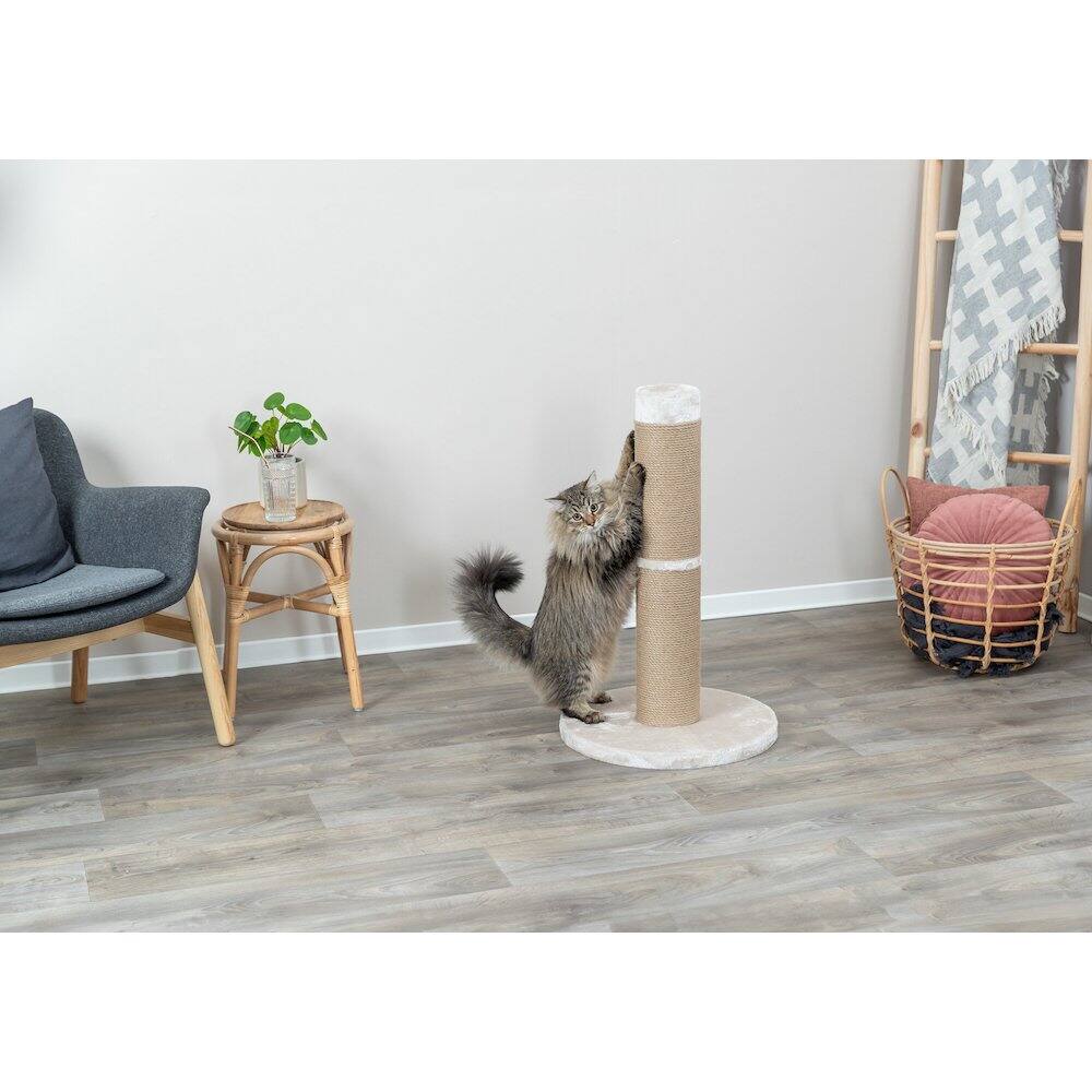 Angle. TRIXIE - Rue Sisal & Plush 31.5" XXL Cat Scratching Post for Large Cats, Plush Base - Brown.