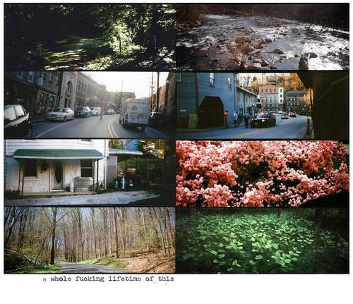 American Pleasure Club - Whole Fucking Lifetime Of Th   - COMPACT DISCS [CD] price history on PriceWatchPro