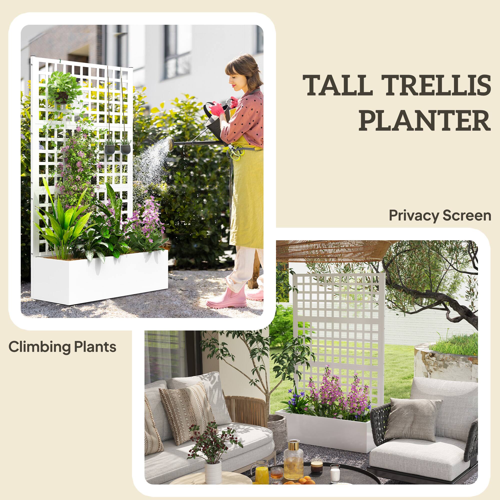 TALL TRELLIS PLANTER  
Privacy Screen  
Climbing Plants