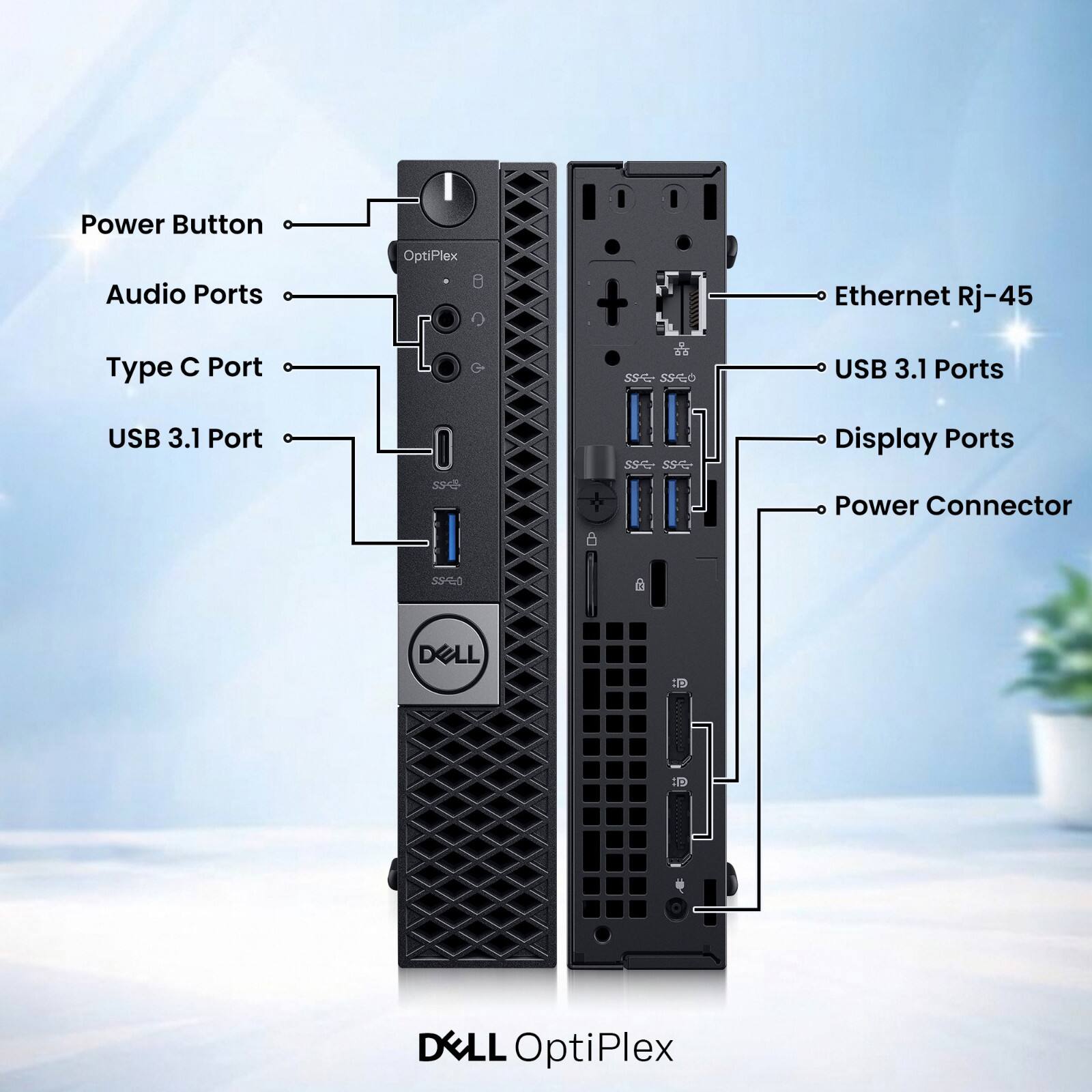Power Button  
Audio Ports  
Type C Port  
USB 3.1 Port  
Ethernet RJ-45  
USB 3.1 Ports  
Display Ports  
Power Connector  

DELL OptiPlex
