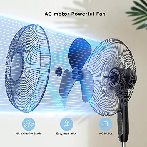 AC motor Powerful Fan

High Quality Blade

Easy Installation

AC Motor