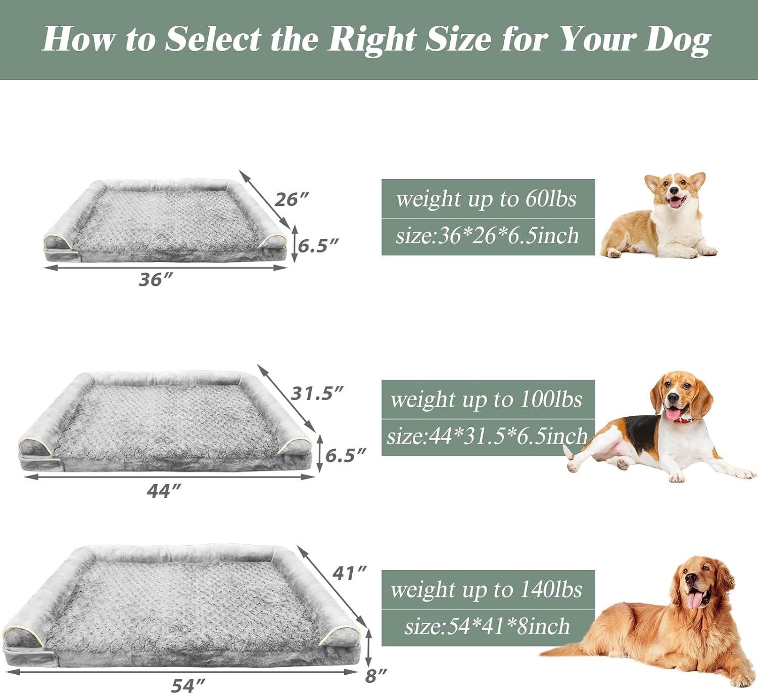 How to Select the Right Size for Your Dog

26" weight up to 60lbs size:36*26*6.5inch
31.5" weight to 100lbs size:44*31.5*6.5inch
41" weight up to 140lbs size:54*41*8inch