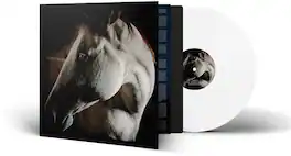Brother Dege - How To Kill A Horse - VINYL LP