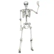 Front. Costway - Costway 5.4ft Halloween Skeleton Life Size Realistic Full Body Hanging w/ Movable Joints - white.