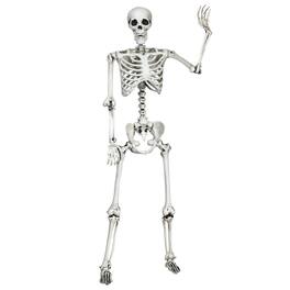 5.4ft Life Size Halloween Skeleton With Movable Joints - Full Body Decoration