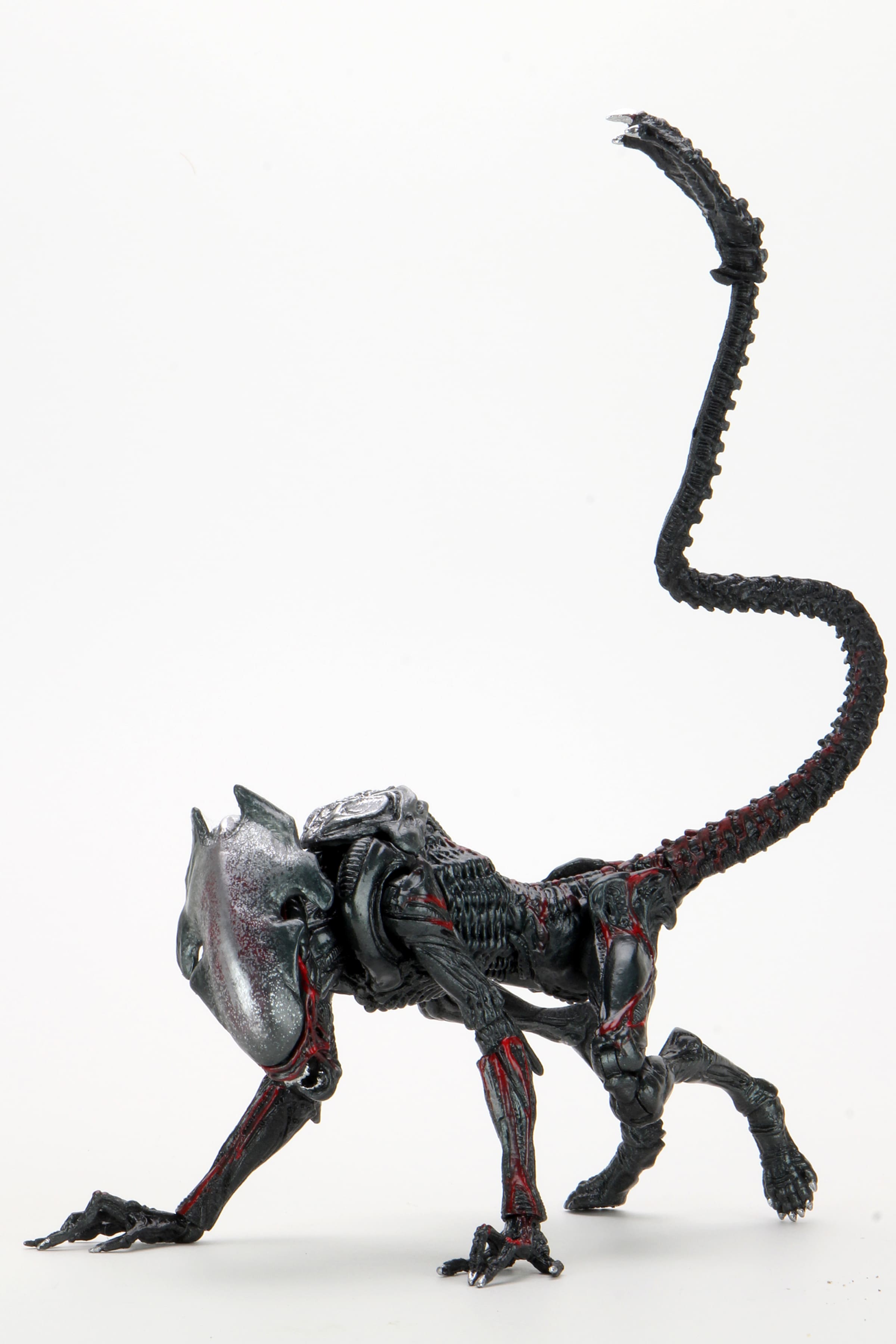 Front. NECA - Aliens 7" Scale Action Figure - Ultimate Kenner Tribute Night Cougar Alien.