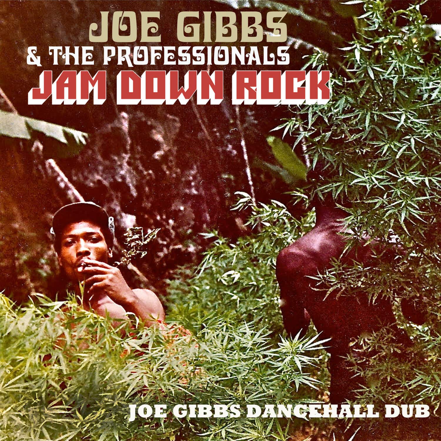Joe Gibbs & the Professionals - Jam Down Rock: Joe Gibbs Dancehall Dub   - COMPACT DISCS [CD] price history on PriceWatchPro