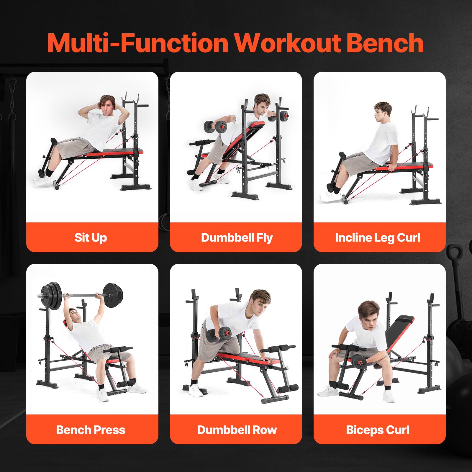 Multi-Function Workout Bench

- Sit Up
- Dumbbell Fly
- Incline Leg Curl
- Bench Press
- Dumbbell Row
- Biceps Curl