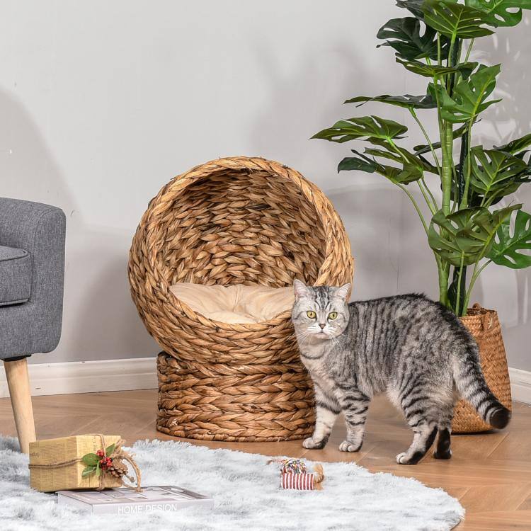 HOME DESIGN
