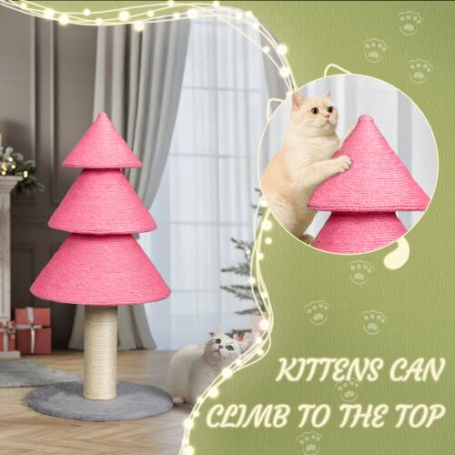 Kittens can climb to the top