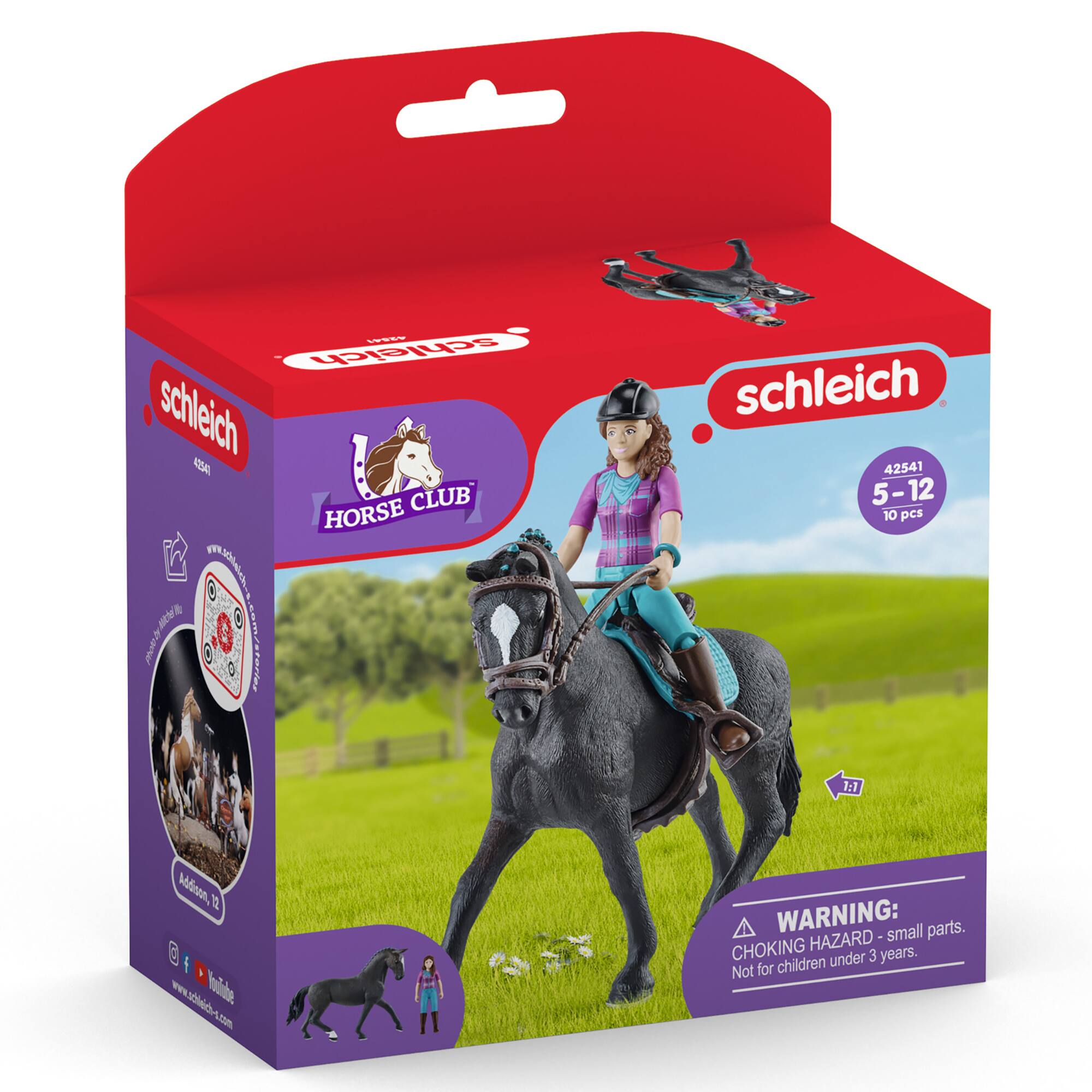 schleich HORSE CLUB  
42541  
5-12  
10 pcs  
1:1  
WARNING: small parts. CHOKING HAZARD - Not for children under 3 years.