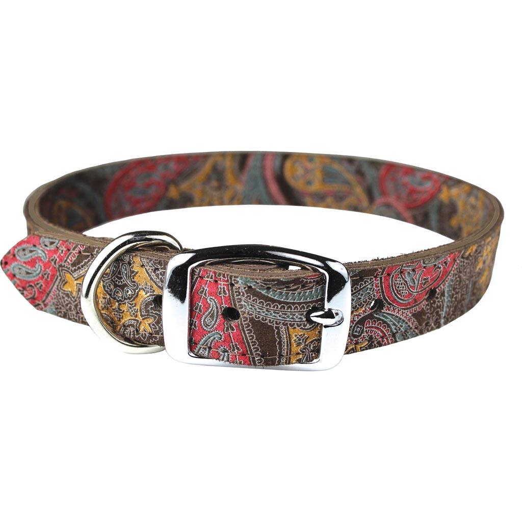 Omni Pet- Leather Paisley Dog Collar- Multicolor