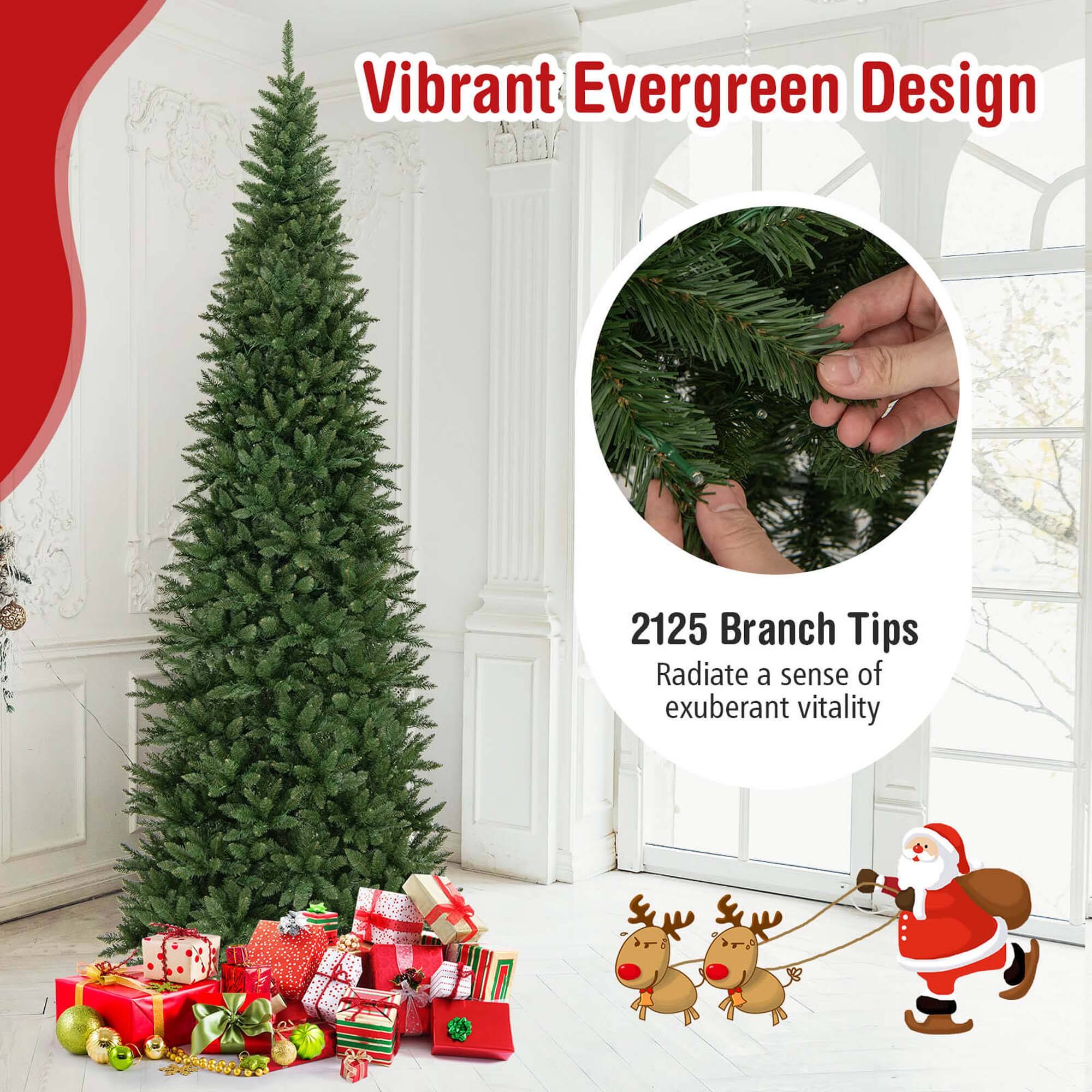 Vibrant Evergreen Design

2125 Branch Tips  
Radiate a sense of exuberant vitality