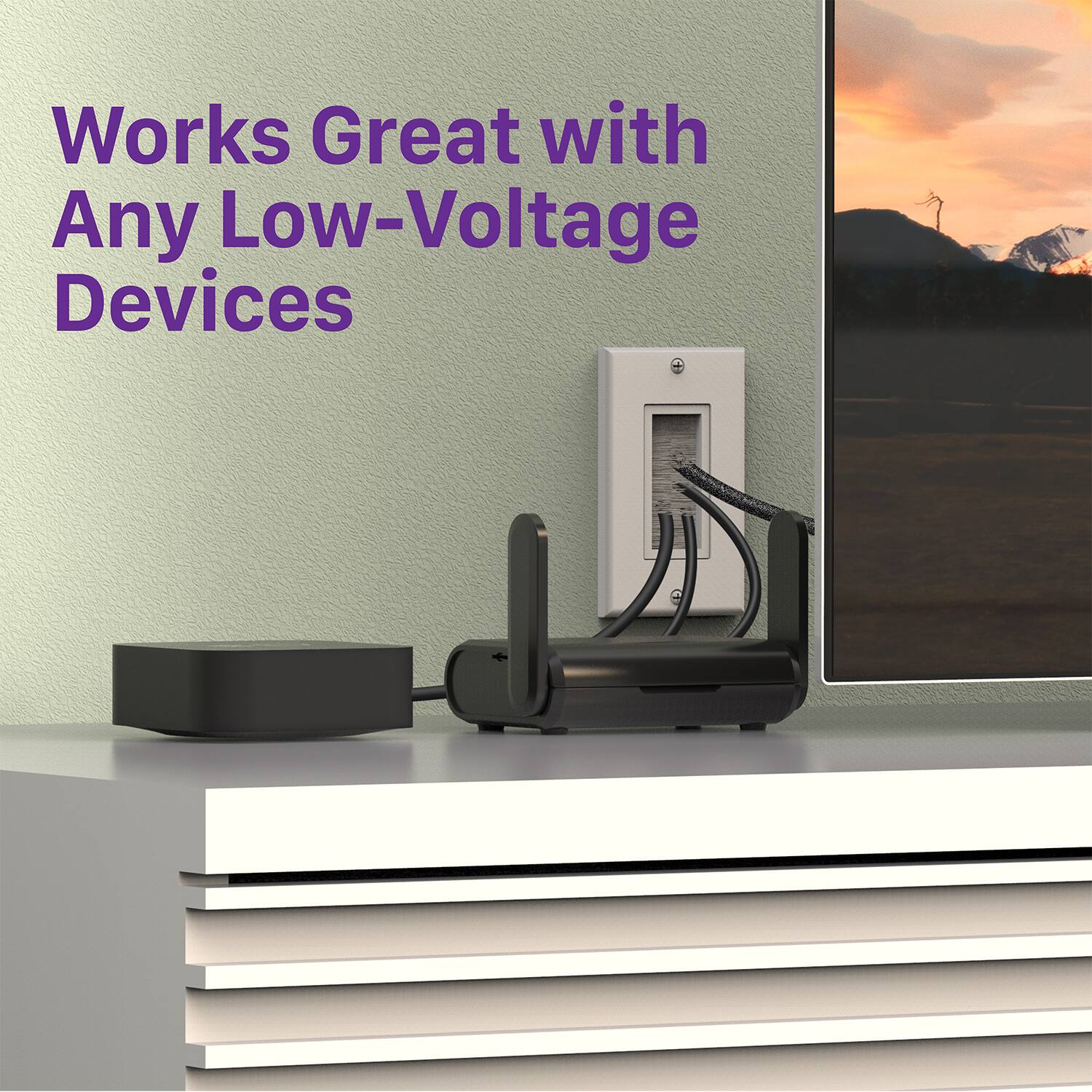 Works Great with Any Low-Voltage Devices