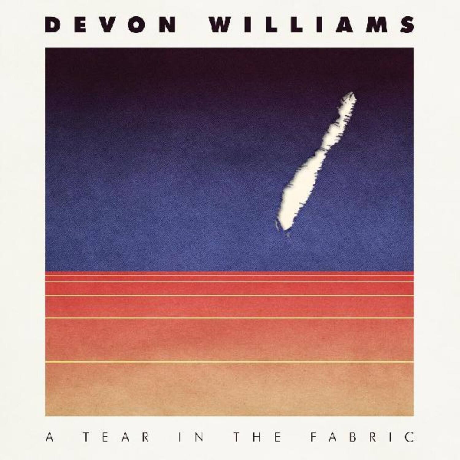 Devon Williams - Tear In The Fabric - VINYL LP
