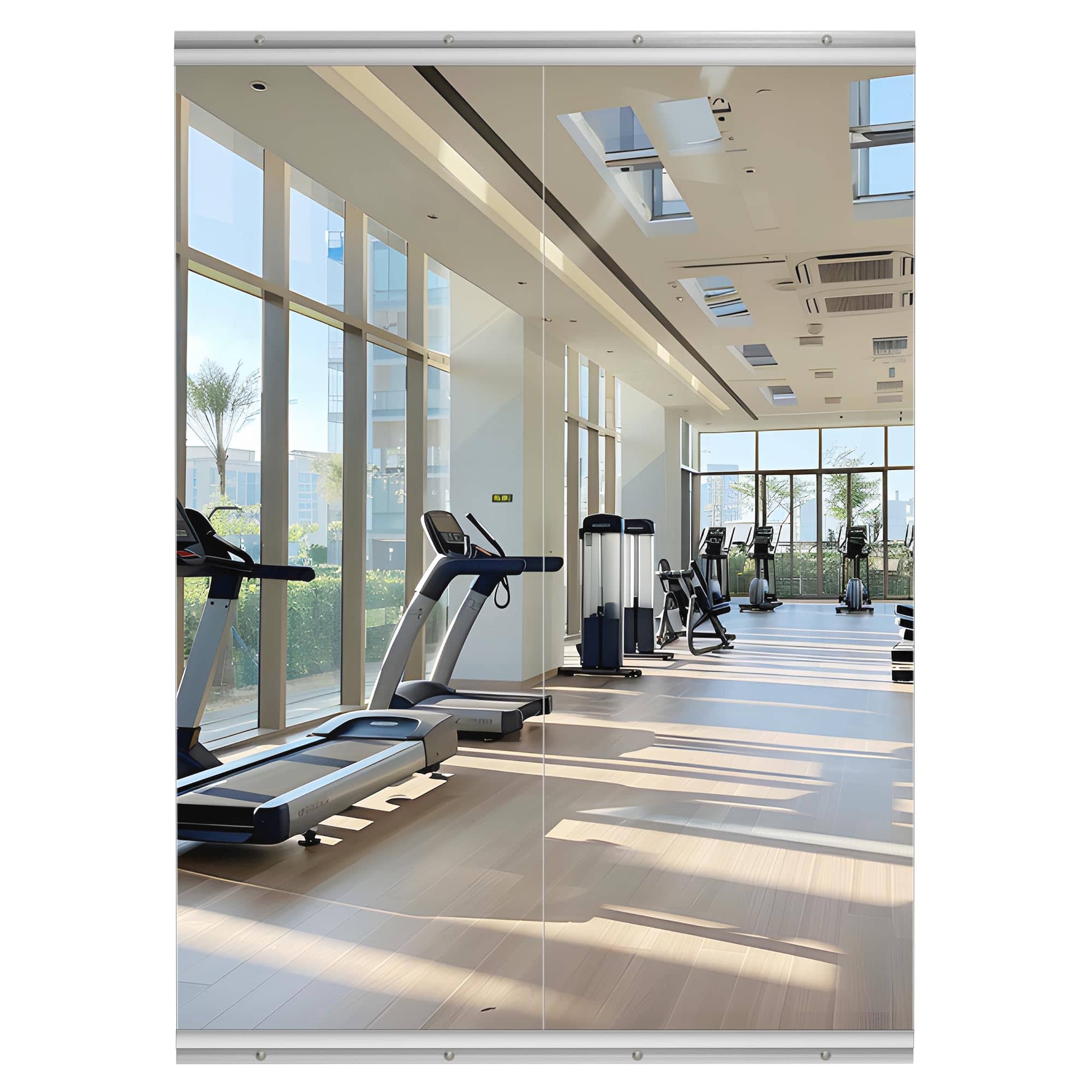 Cedar Assembly - Home Gym Mirror 55" X 17" W - Full Body For Yoga Wall-mounted Mirrors Fitness Garage Dance Studio 0 16in - Silver-51"L x 17"W - 3PCS