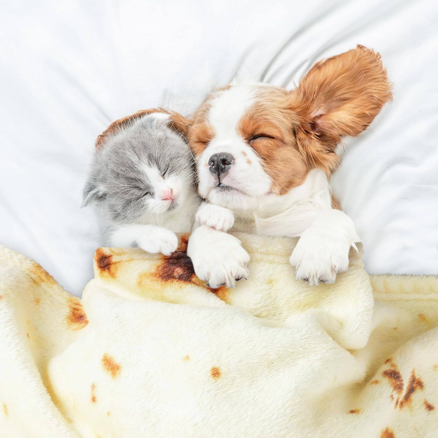 Back. Zulay Kitchen - Zulay Kitchen Burritos Tortilla Throw Blanket Double Sided 36 inches for Adult and Kids - Burritos Tortilla.