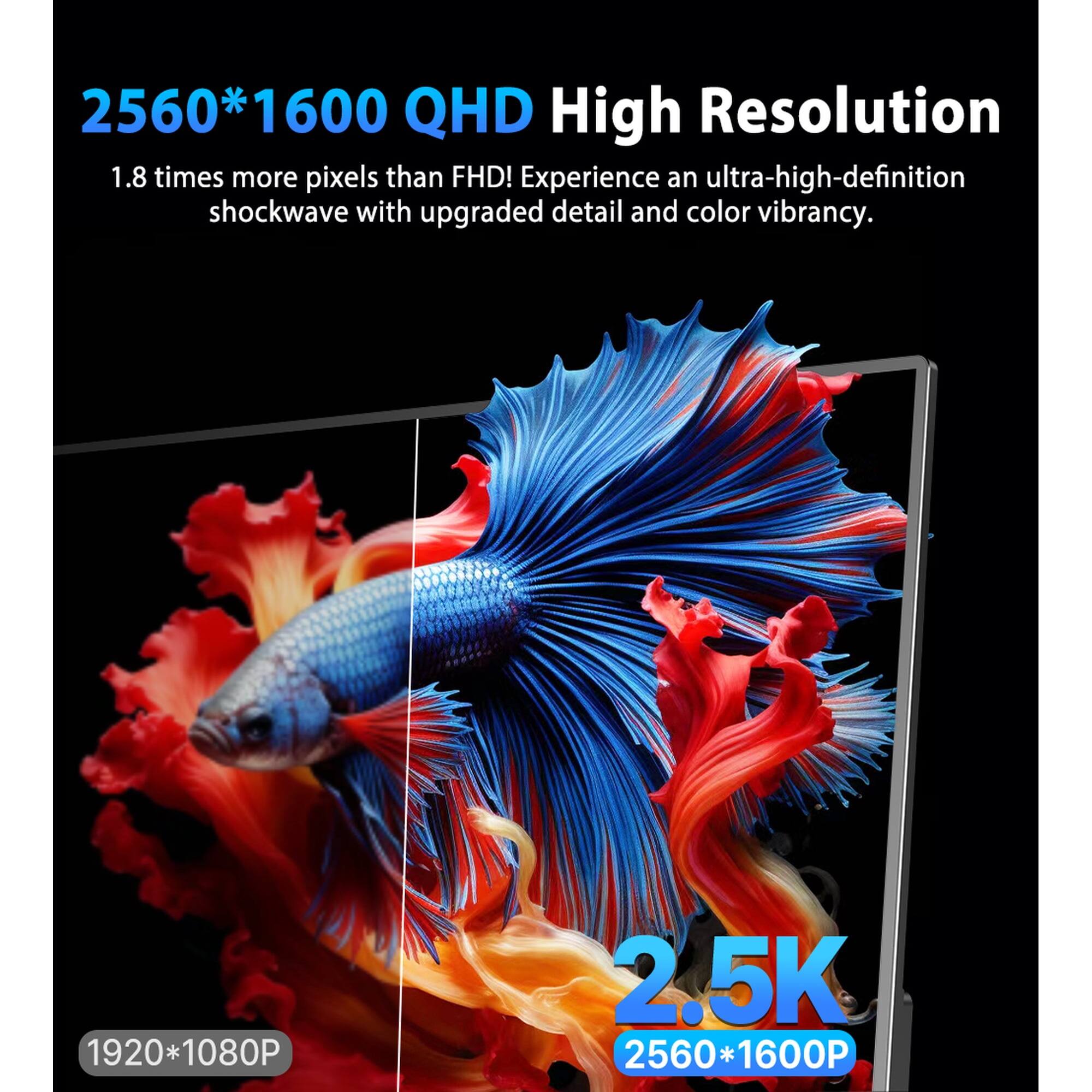 2560*1600 QHD High Resolution  
1.8 times more pixels than FHD! Experience an ultra-high-definition shockwave with upgraded detail and color vibrancy.  
1920*1080P  
2.5K  
2560*1600P