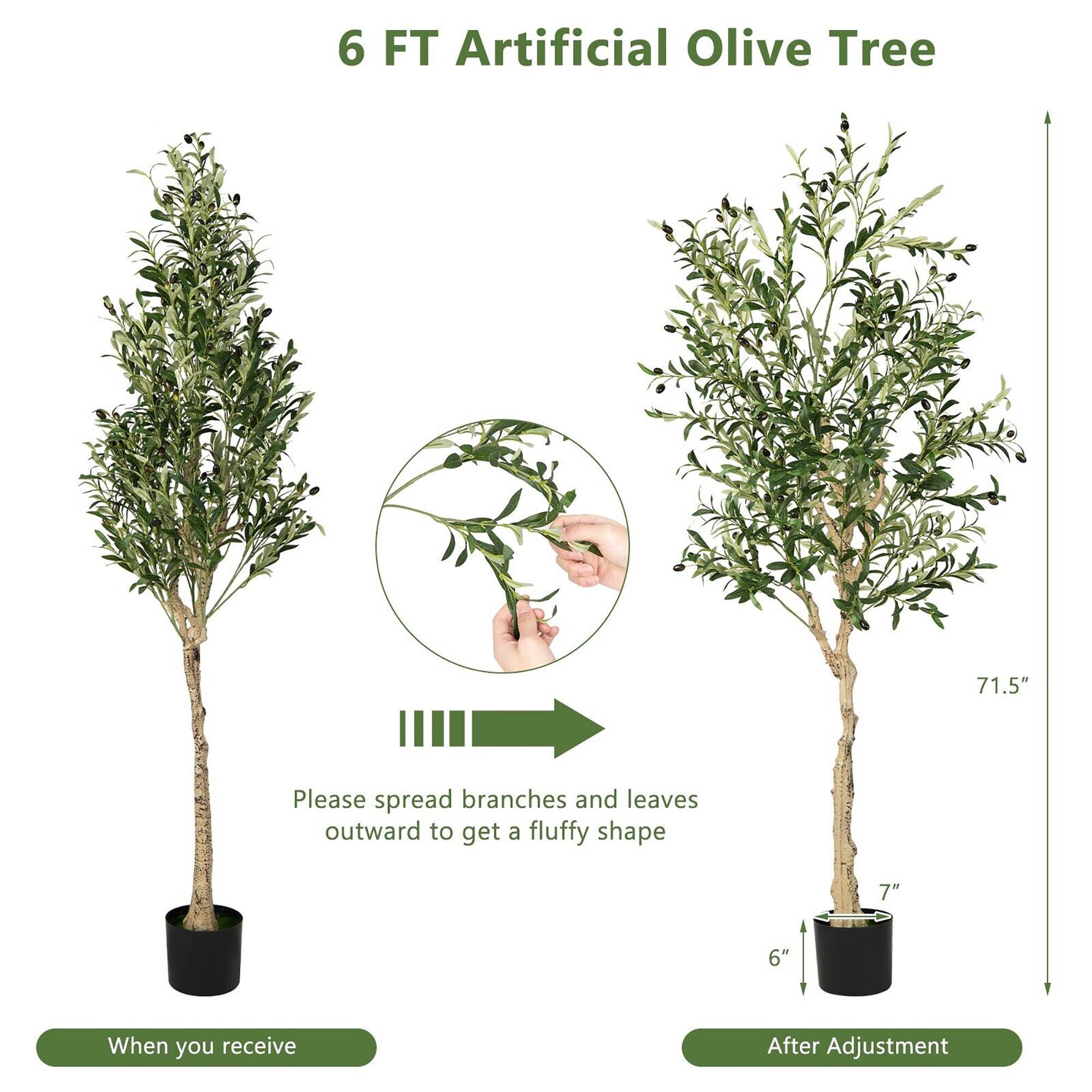 6 FT Artificial Olive Tree

Please spread branches and leaves outward to get a fluffy shape

When you receive

After Adjustment

71.5"

7"

6"